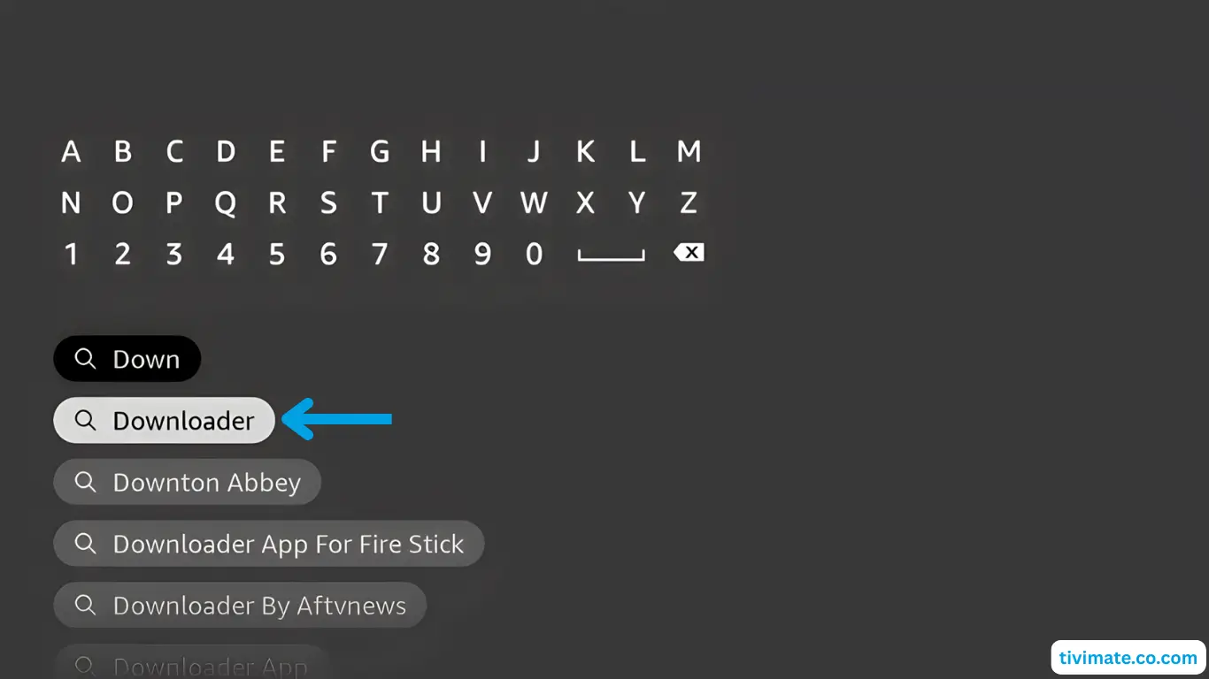 Fire TV Stick: Open the Downloader app page